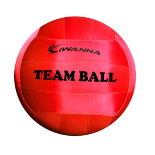 코리아스포츠 아이워너 아이워너 팀볼 100cm 레드_이미지