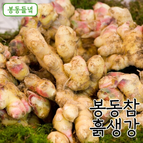다온푸드 봉동들녘 국내산 봉동참 흙생강 5kg