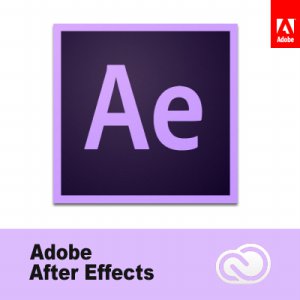 Adobe After Effects CC 교육용 (1년 라이선스)