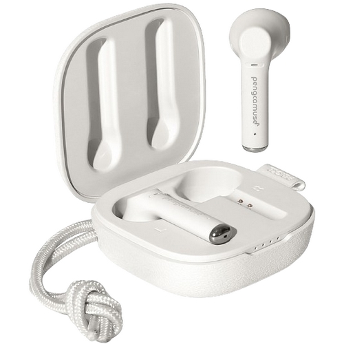 그린솔루션 펭카 뮤즈 PM100