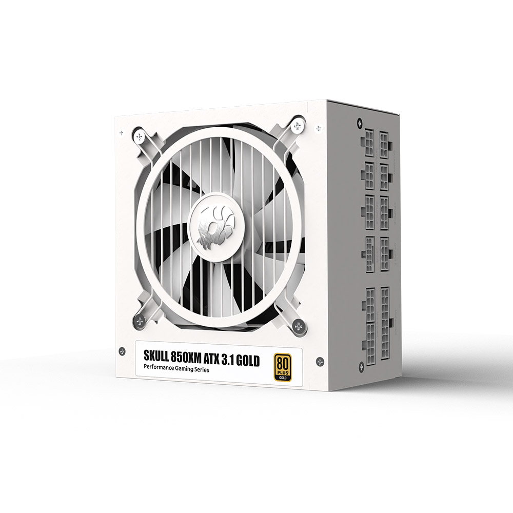 NEWZEN SKULL 850XM 풀모듈러 ATX3.1 80PLUS골드 화이트_이미지
