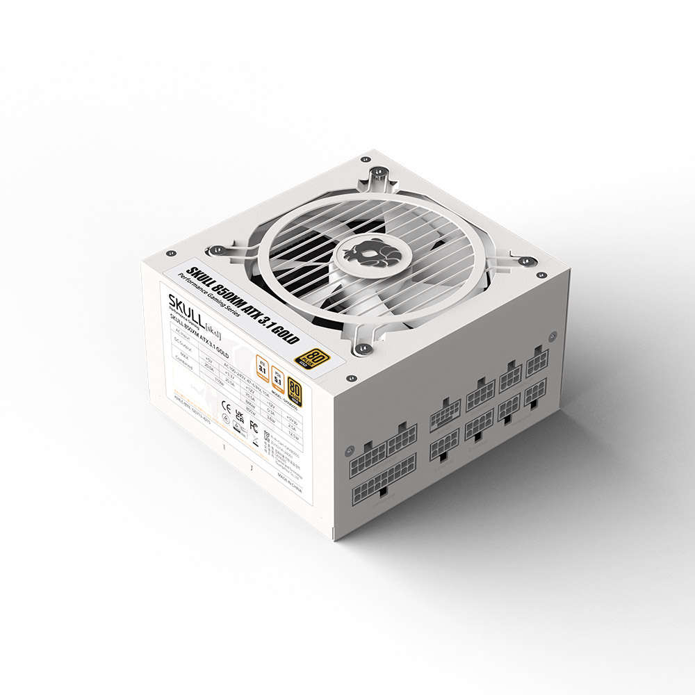 NEWZEN SKULL 850XM 풀모듈러 ATX3.1 80PLUS골드 화이트