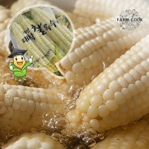 팜쿡 괴산 삶은 대학찰옥수수 실속 못난이 냉동 팩당4개 (20개)
