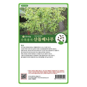 다농 산돌배나무씨앗 20g