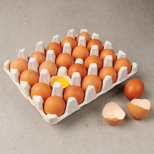 명가일품 난각번호 1번 자연방목 신선 유정란 20구 [2개]