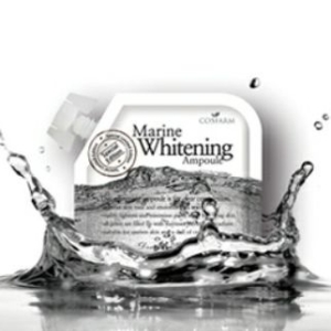 진생뉴트리셔스 모델링팩 40g