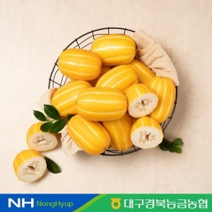 아침의뜰 성주 꿀 참외 로얄과 14~20과 5kg (1개)_이미지