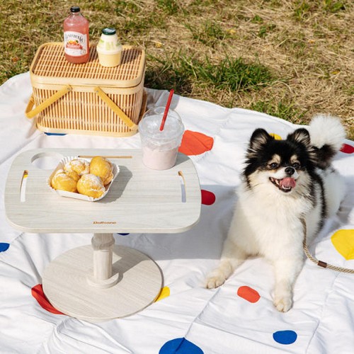 �ҽ��� Ʈ�������� ������ ��� ���̺�