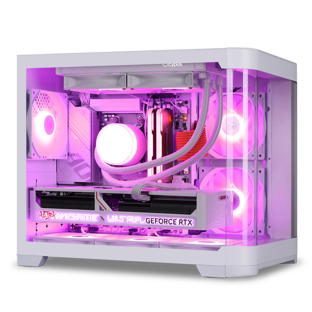 몬스타 가츠 플럼블로썸 (32GB, M.2 1TB)