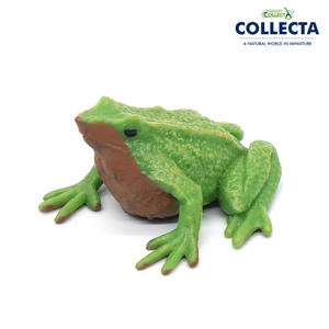컬렉타 테라리움 미니 다윈개구리_이미지