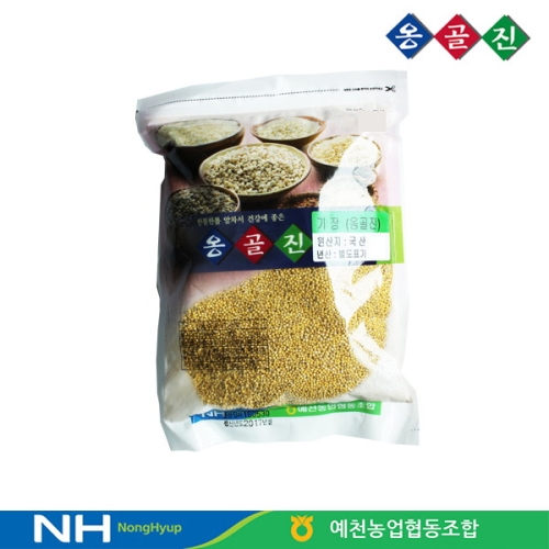 옹골진 국내산 잡곡 기장 500g
