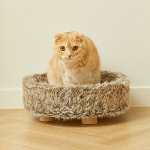 펫토리아 GP 에스키모 원형 고양이 방석이미지입니다. 누르면 해당 게시물로 새창이동합니다.