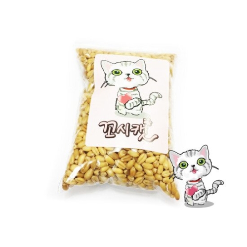  꼬시캣 캣그라스 씨앗