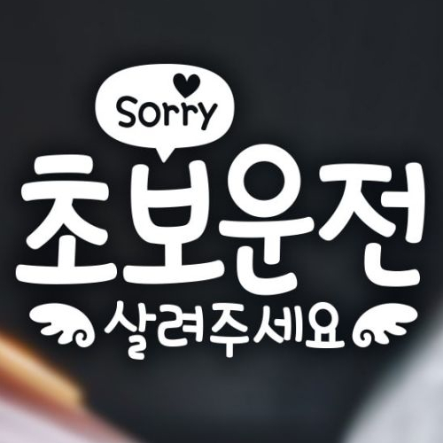 제제데코 문구쏘리 초보운전 살려주세요 자동차스티커 18D46 (화이트)_이미지