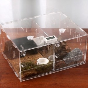 �½����� ��ũ�� ������ 2��