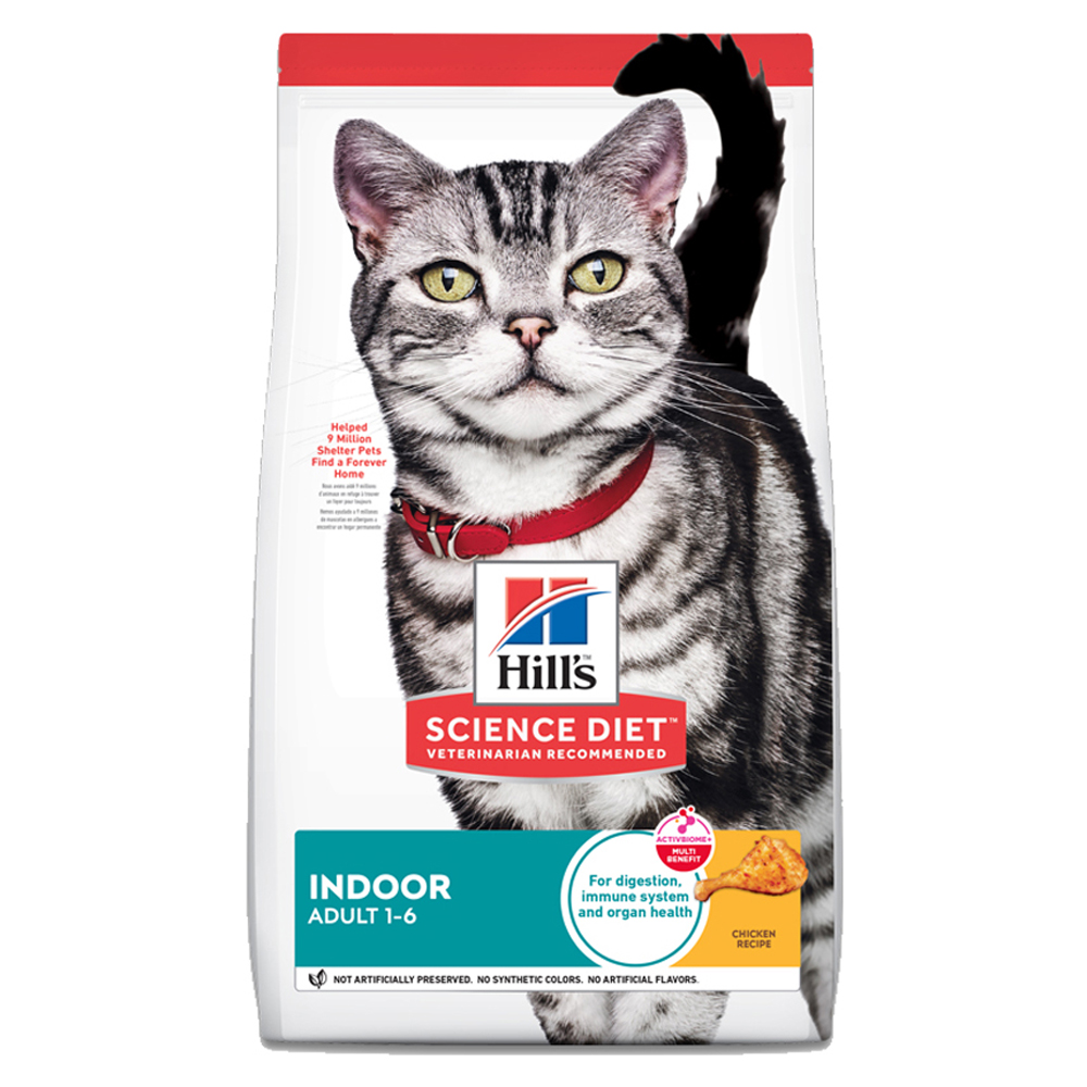 ���� ���� ���̾� ���̾�Ʈ Ĺ ���Ʈ �ε��� 1.6kg