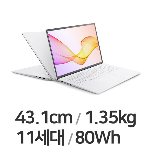 LG전자 2021 그램17 17ZD90P-GX50K (SSD 3TB)