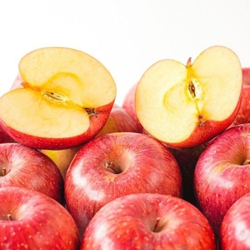 더조은 못난이 꿀사과 부사사과 주스용 10kg