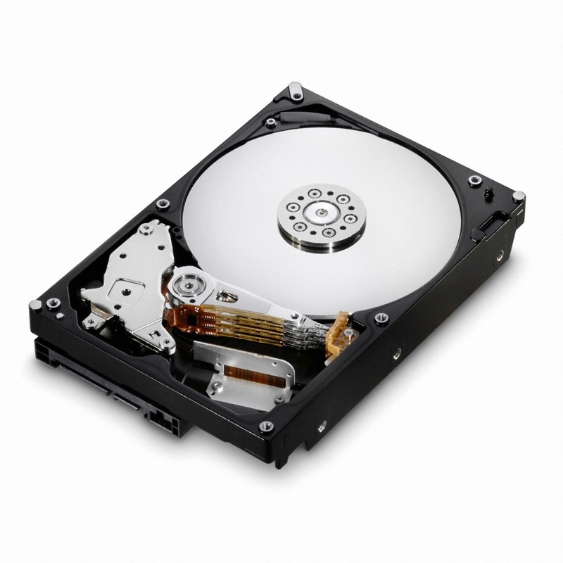 HGST 1TB Deskstar E7K1000 (SATA2/7200/32M)_이미지