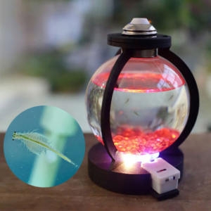 [불명] 사이언스타임   씨몽키 수족관 만들기이미지입니다. 누르면 해당 게시물로 새창이동합니다.