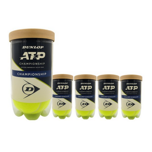 던롭 ATP 챔피언십 (5캔(10개))_이미지