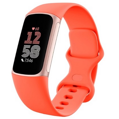 Google 핏빗 Charge 6 (해외구매)_이미지