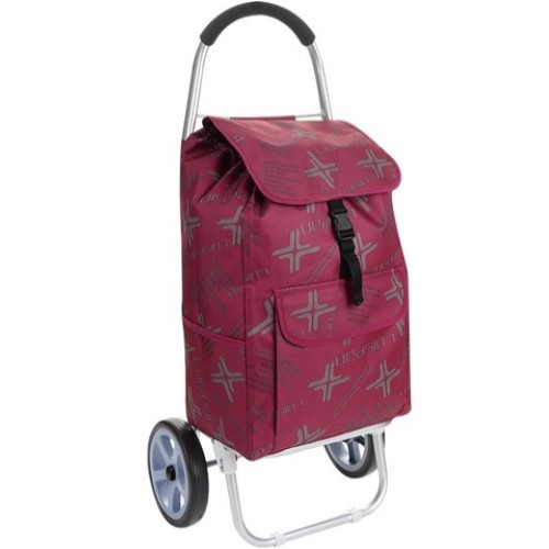 ���̿��� �ٸ��� ����īƮ