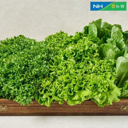 동김제농협 유러피안샐러드 4종 750g 대용량 야채믹스 채소믹스