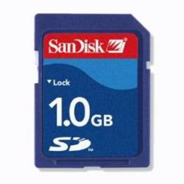 Sandisk SD (병행수입,1GB)_이미지