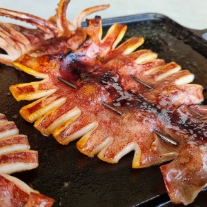 피데기 반건조 오징어 10마리 동해 반건오징어 피대기 대/1.4kg내외