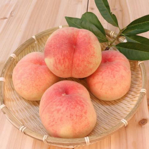 김천 백도 말랑이 2kg