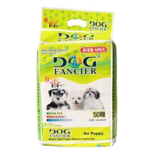 ������þ� ��ǰ �� �е� �ߴ��� 50��