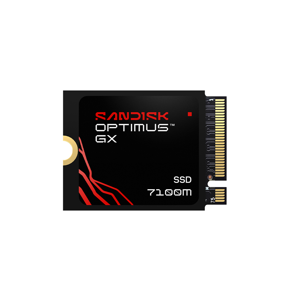 Sandisk Optimus GX 7100M M.2 2230 NVMe 해외구매 (2TB)