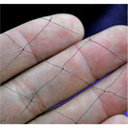 �����׹� 8ȣ