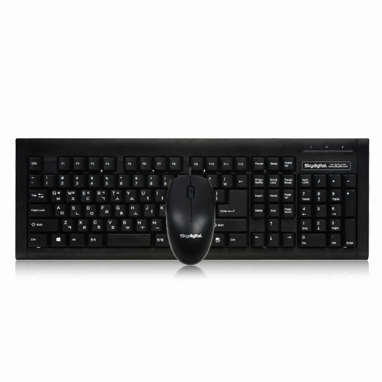 ��ī�̵���Ż SKY6000