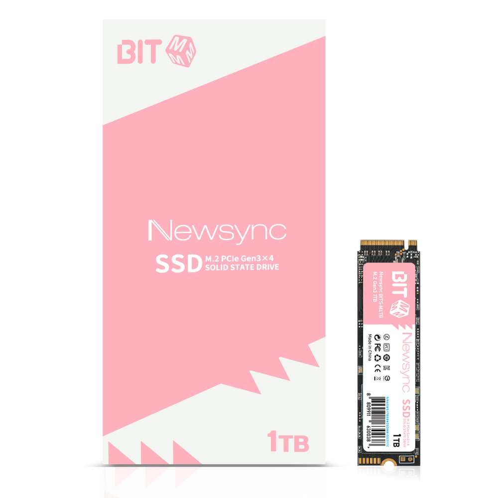 비트엠 Newsync BITS M.2 NVMe (512GB)_이미지