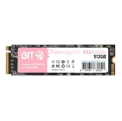 비트엠 Newsync BITS M.2 NVMe (512GB)