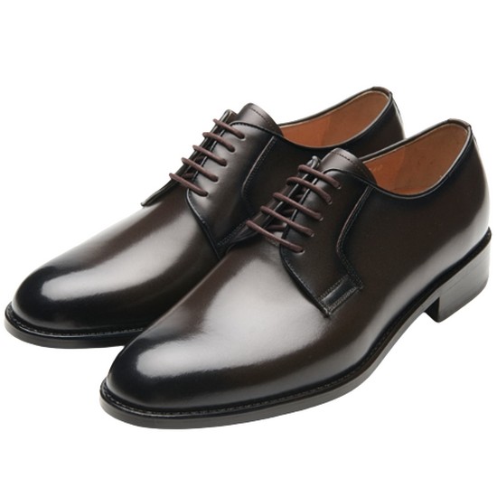 플랩에프 오스카C 더비 (브라운)_이미지