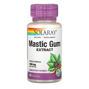  솔라레이 매스틱검 분말 캡슐 500mg 45정