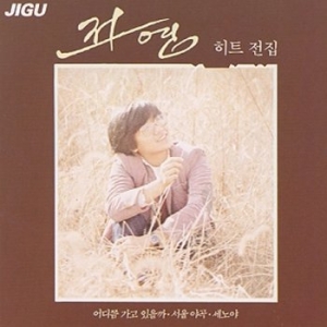 신나라 전영 - 히트전집