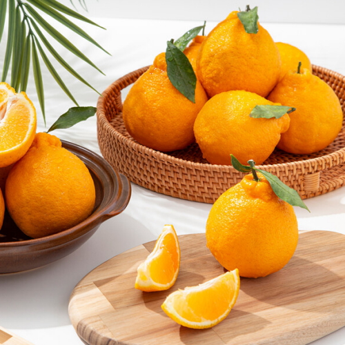 더조은푸드 제주 서귀포 노지 한라봉 혼합과 10kg이미지입니다. 누르면 해당 게시물로 새창이동합니다.