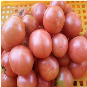 토마토즙/토마토/호박즙/토마토쥬스/당근즙_이미지