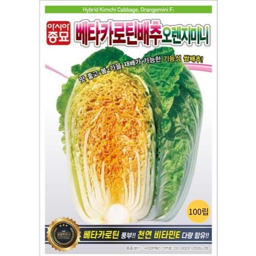 아시아종묘 배추씨앗종자 베타카로틴배추 오렌지미니 100립_이미지
