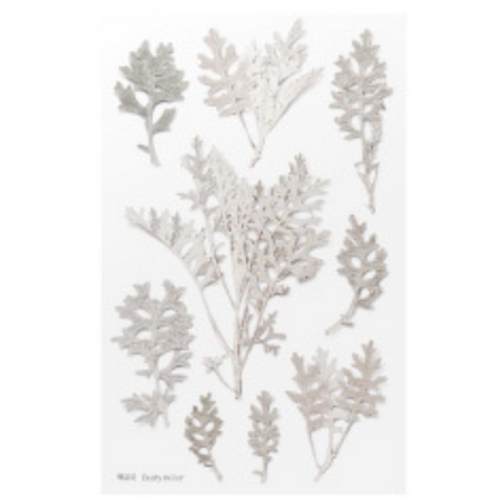 [불명] 텐바이텐 압화스티커_백묘국