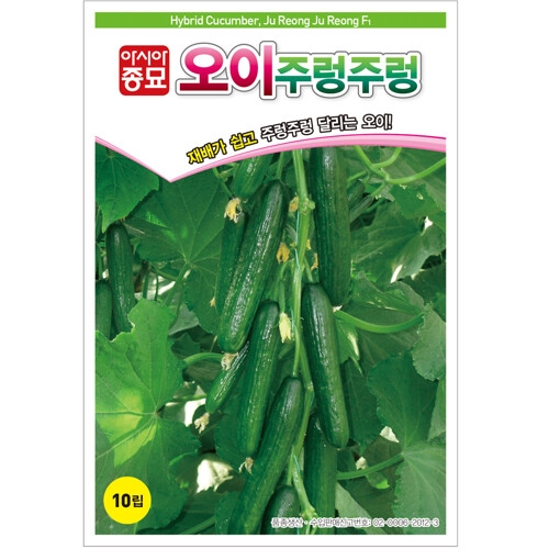 아시아종묘 오이씨앗종자 주렁주렁 오이 10립 암꽃발생이 높은 다수확 미니오이