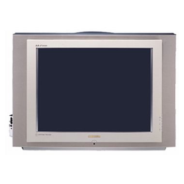 삼성전자 명품 CT-34Z4HRH