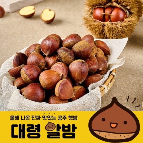 자연진리 24년 공주 정안 대령 알밤 4kg 대_이미지