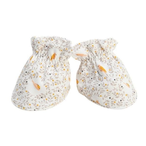 ��ǰ �� �̹���