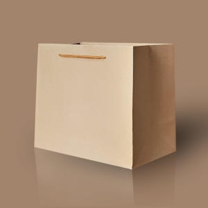 쇼핑테그 리드홈 튼튼한 크라프트 와이드 쇼핑백 소 답례품 종이백 직사각 정사각 대형 미니