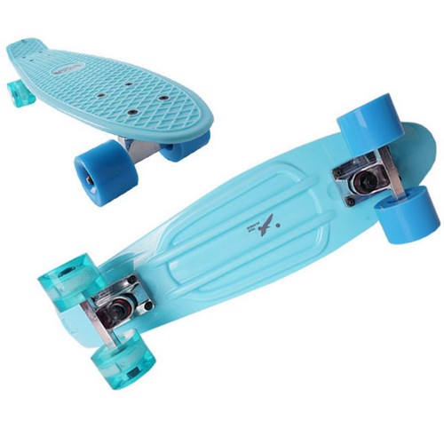 ���ö��� ũ�������� 22��ġ